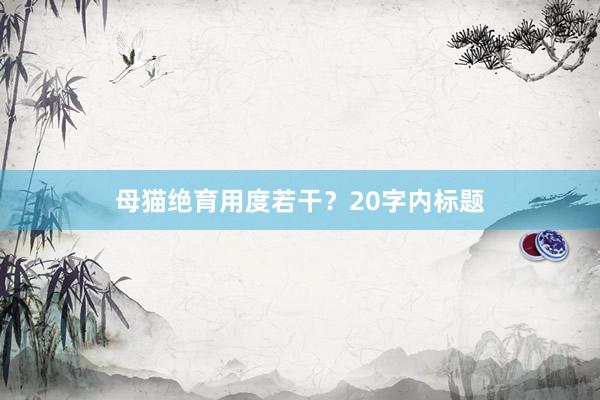 母猫绝育用度若干？20字内标题