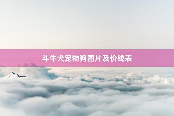 斗牛犬宠物狗图片及价钱表