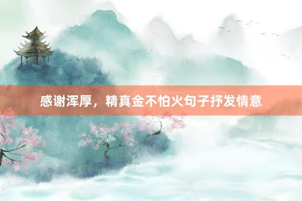 感谢浑厚，精真金不怕火句子抒发情意